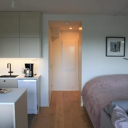 Huoneisto Air Conditioned Downtown With View